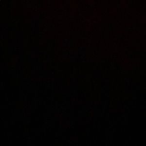 Meet your Posher, Julian